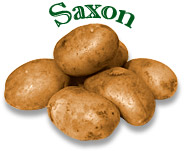 Saxon Potatoes